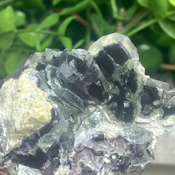 Yindu Mine Fluorite on Stand - Picture 4 of 5
